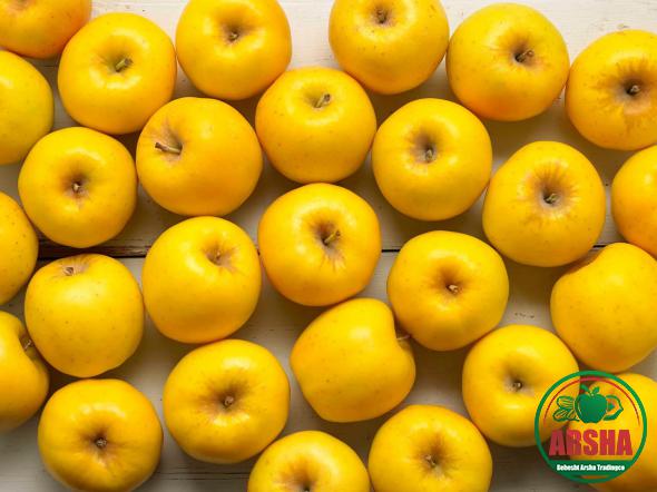 What Are the Top 5 Apples?