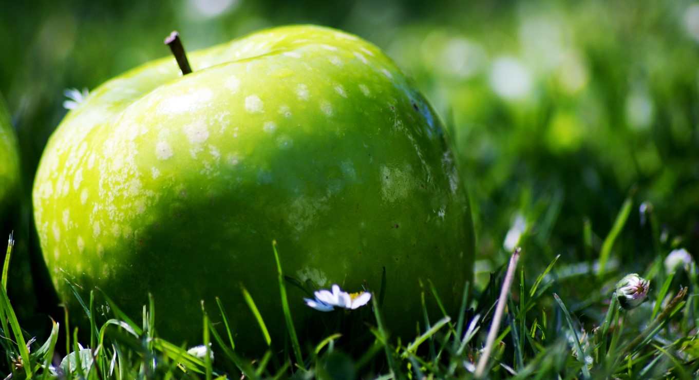  The purchase price of green apple + advantages and disadvantages 