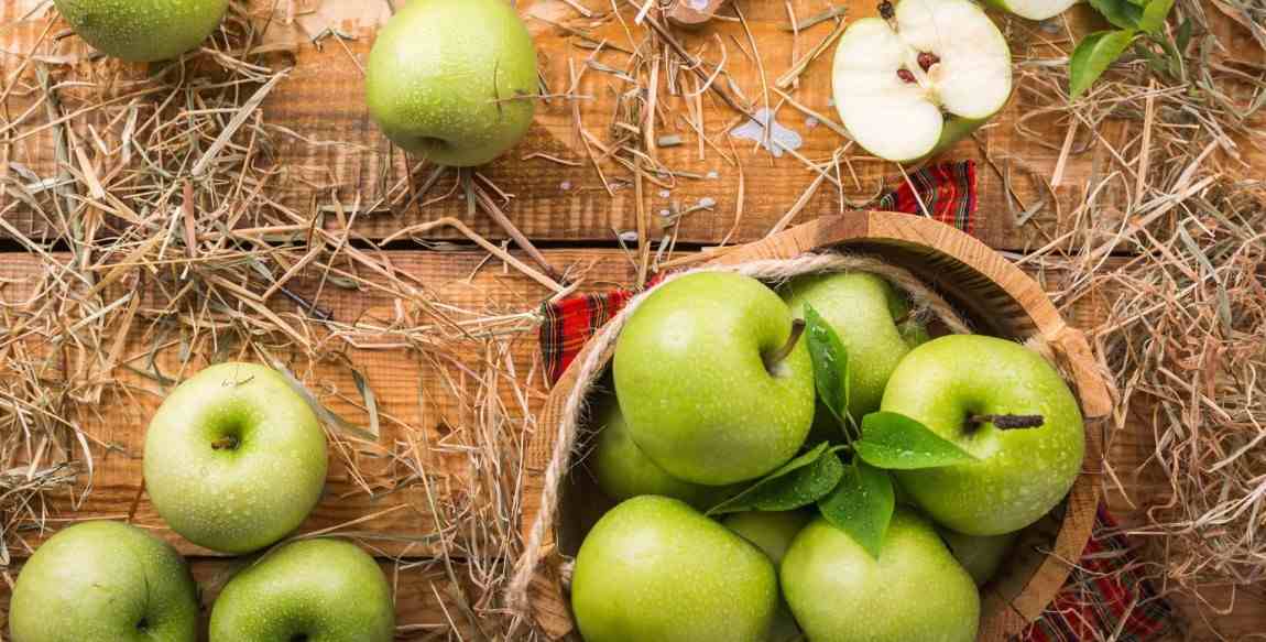  The purchase price of green apple + advantages and disadvantages 