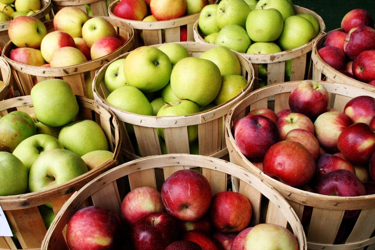  Apple Fruit in USA; Firm Antioxidants Vitamin C Dietary Fiber 