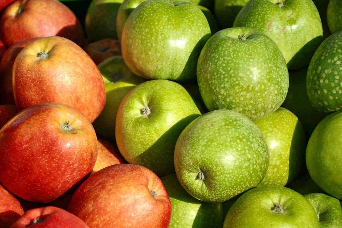  Apple Fruit in USA; Firm Antioxidants Vitamin C Dietary Fiber 