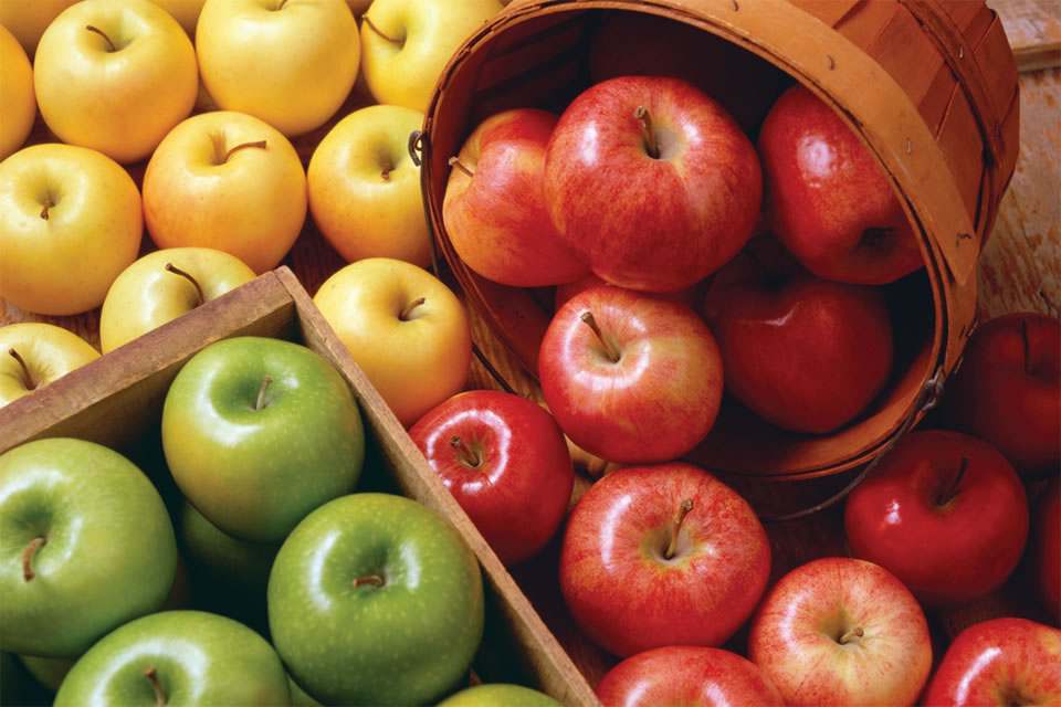  Buy European apple fruit + great price 