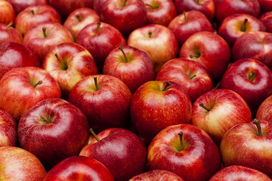  Buy European apple fruit + great price 