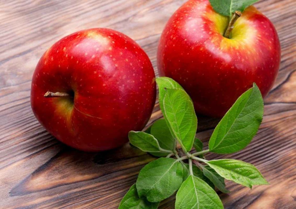  Buy European apple fruit + great price 