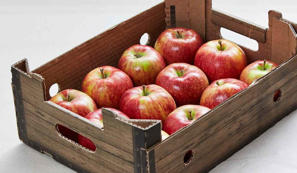  Buy European apple fruit + great price 