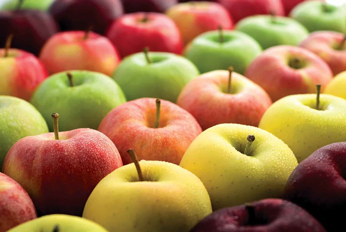  Fuji and gala apples Purchase Price + User Guide 