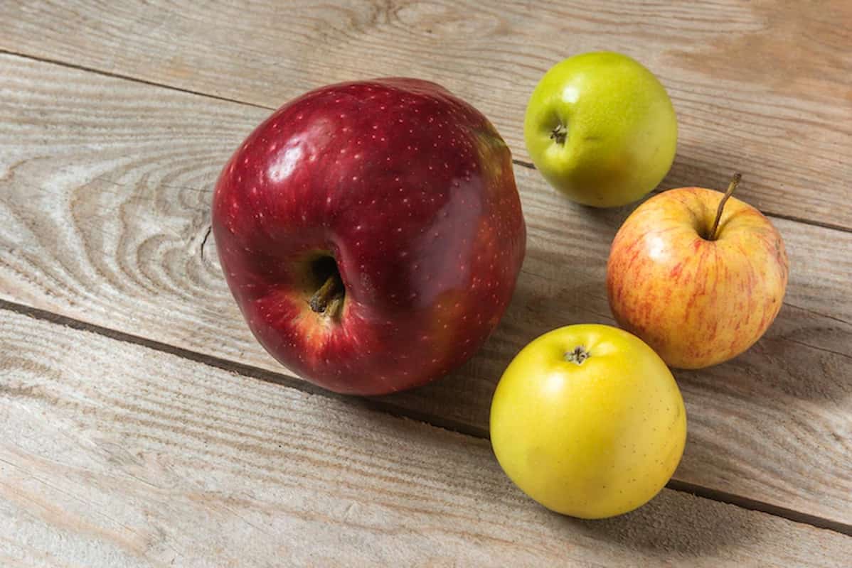  Fuji and gala apples Purchase Price + User Guide 