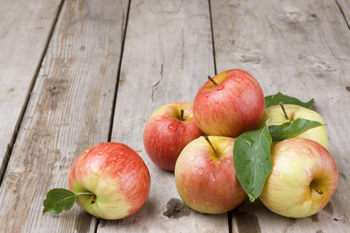  Fuji and gala apples Purchase Price + User Guide 