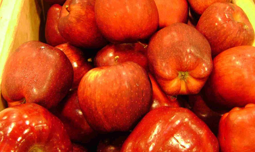  Red Delicious Apple Crisp Use Easy 