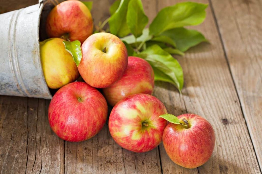  Red Delicious Apple Crisp Use Easy 