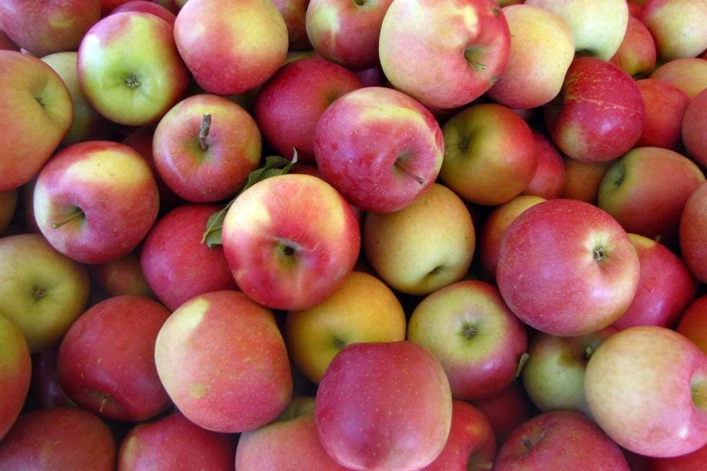  Red Delicious Apple Crisp Use Easy 