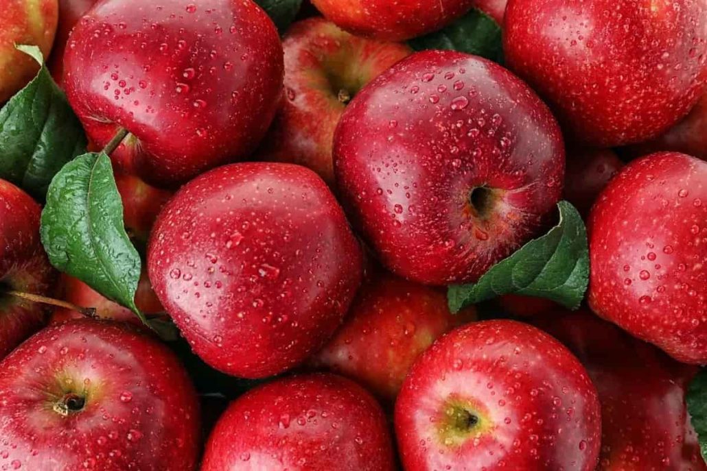  Red Delicious Apple Crisp Use Easy 