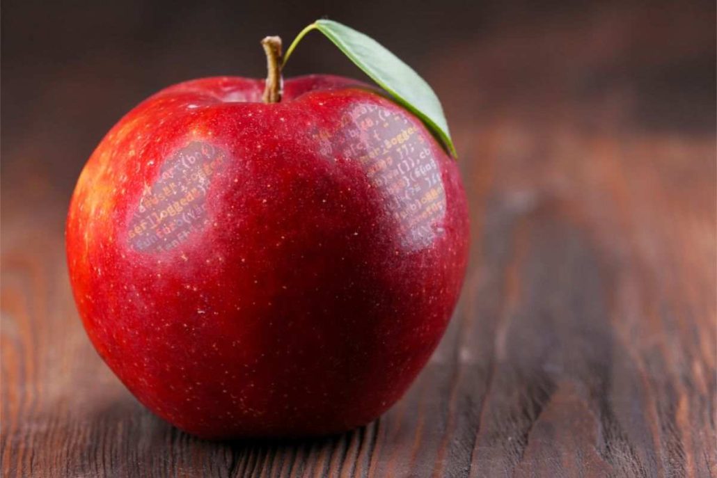  Red apple price list in November 2023 