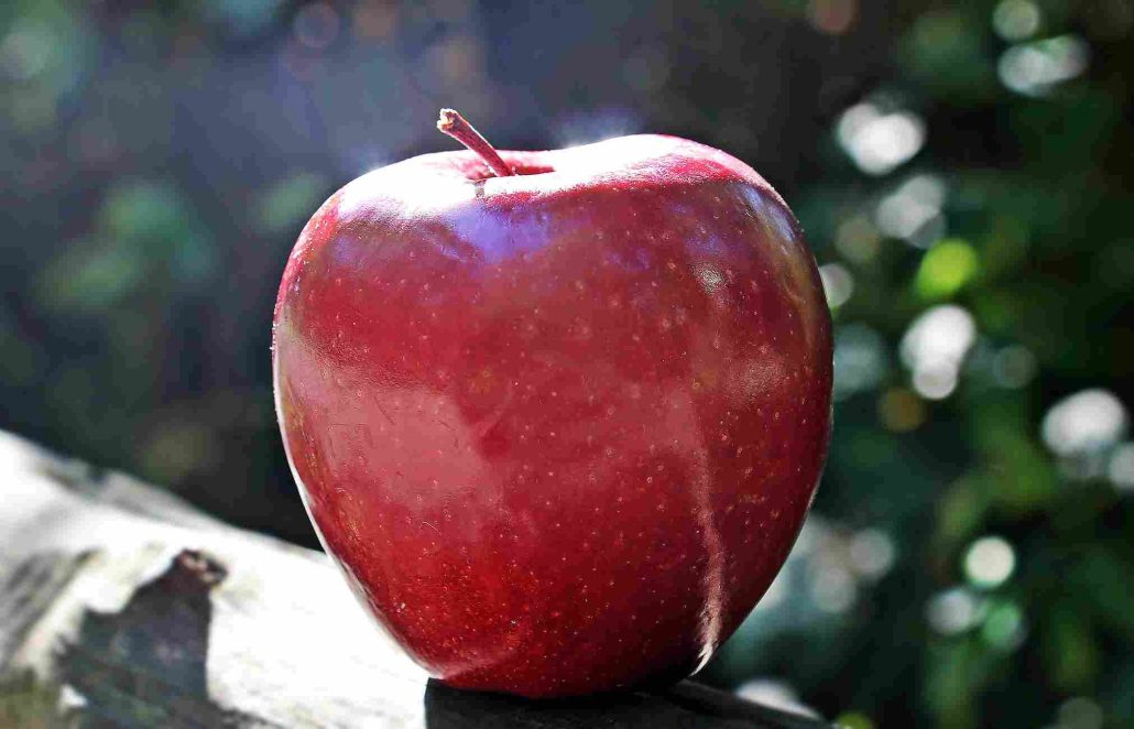  Red apple price list in November 2023 