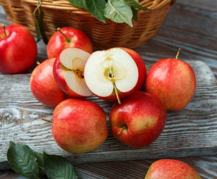  buy apple fruits + great price with guaranteed quality 