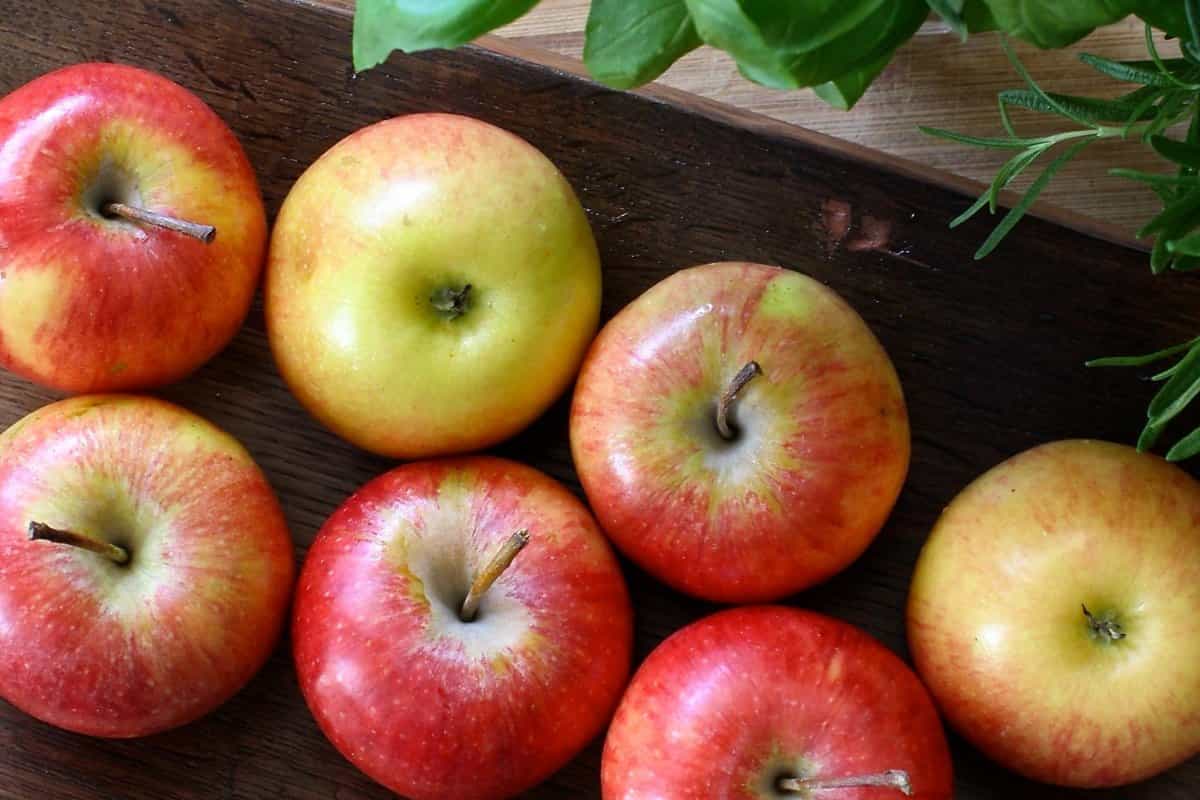  Apple Fruit in Canada; Vitamin C Source Crispy Texture Low Calorie 