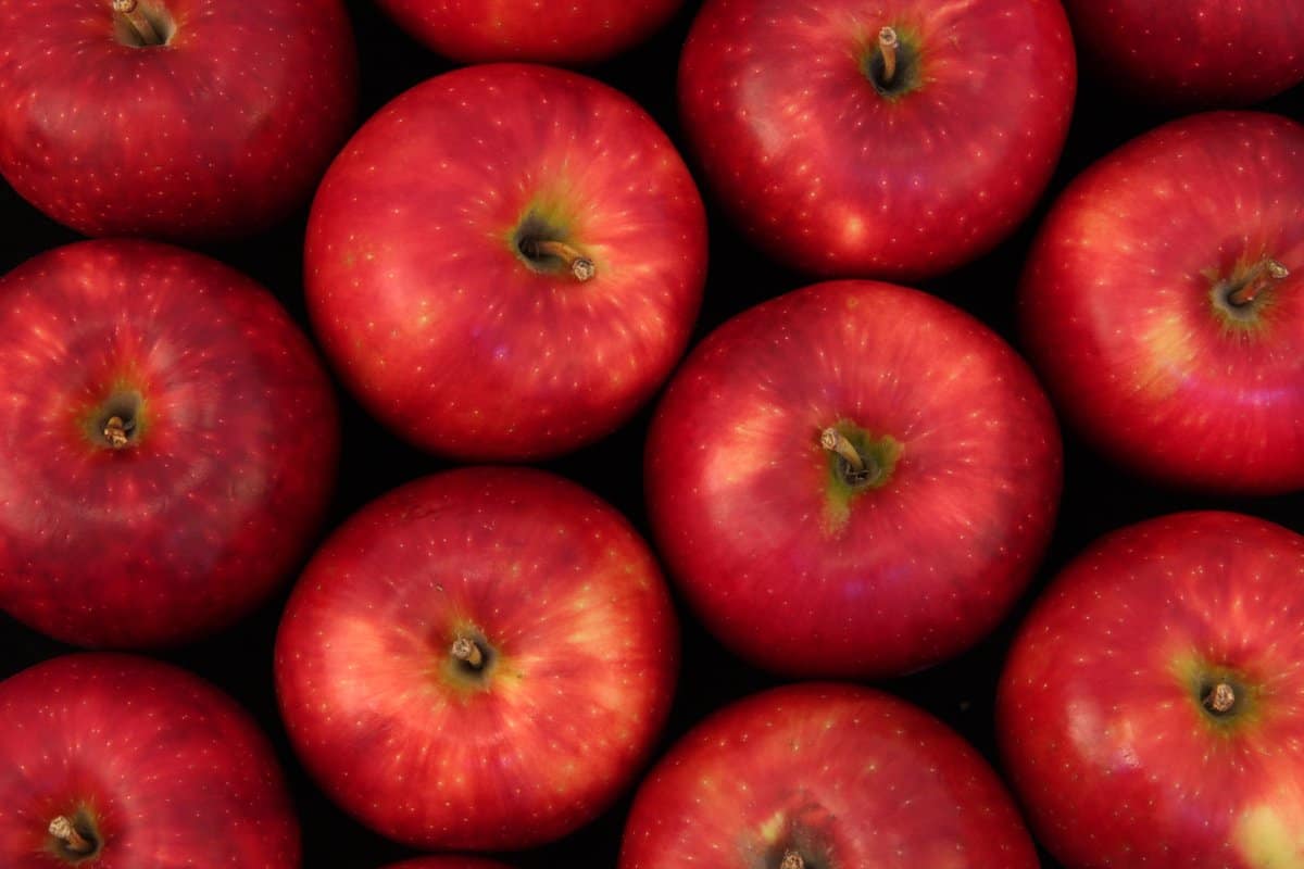  Apple Fruit in Canada; Vitamin C Source Crispy Texture Low Calorie 