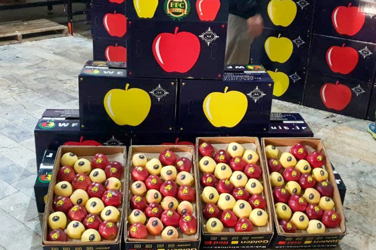  Royal Red Gala Apple + best buy price 