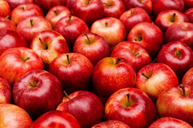  Royal Red Gala Apple + best buy price 