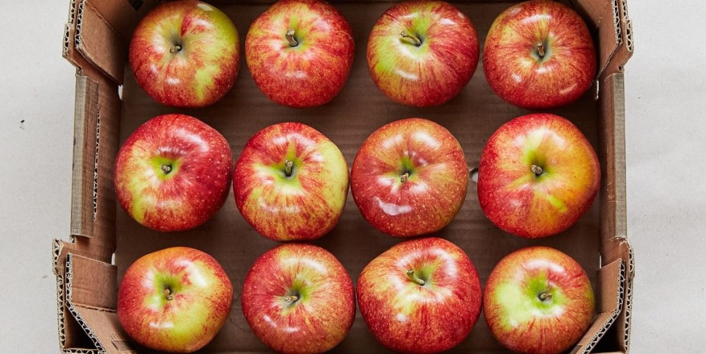  Iran red delicious apple | Buy at a cheap price 