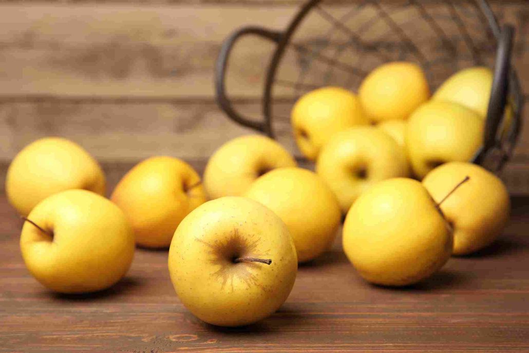  Golden Apples Price + the Best Purchase Day Price of Golden Apples with the Latest Sale Price List 