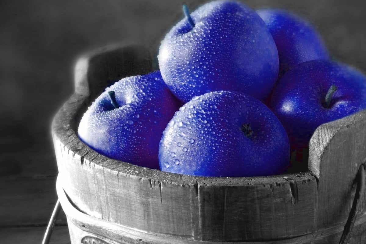  Blue Apple Fruit; Juicy Crisp Flesh Crimson Colored Outer Inside White 