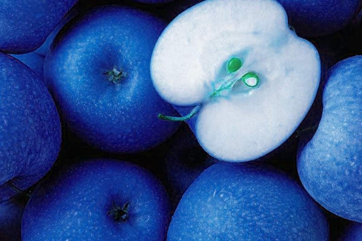  Blue Apple Fruit; Juicy Crisp Flesh Crimson Colored Outer Inside White 