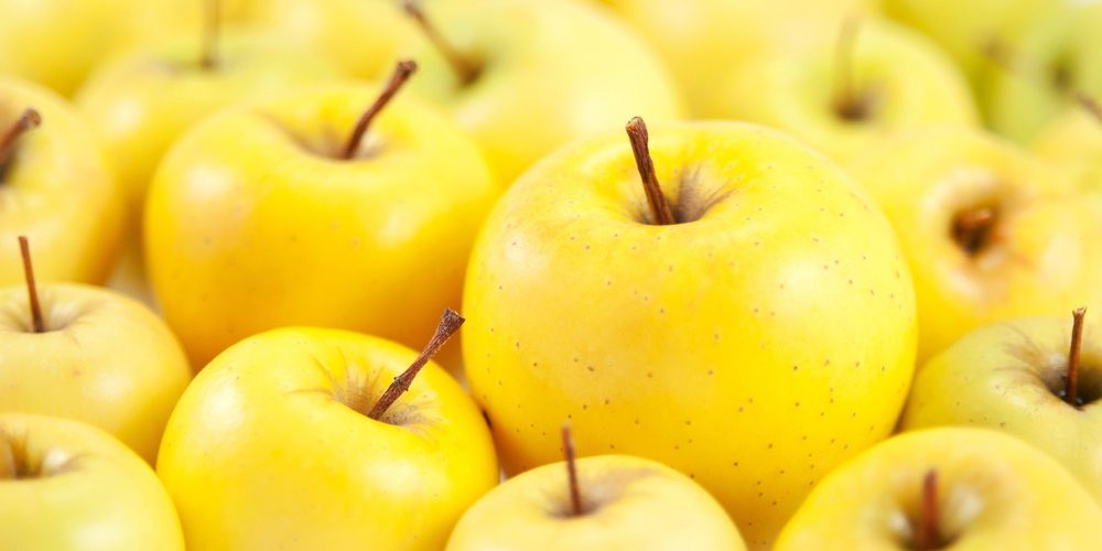  Introduction of Delicious Apples types + purchase price of the day 