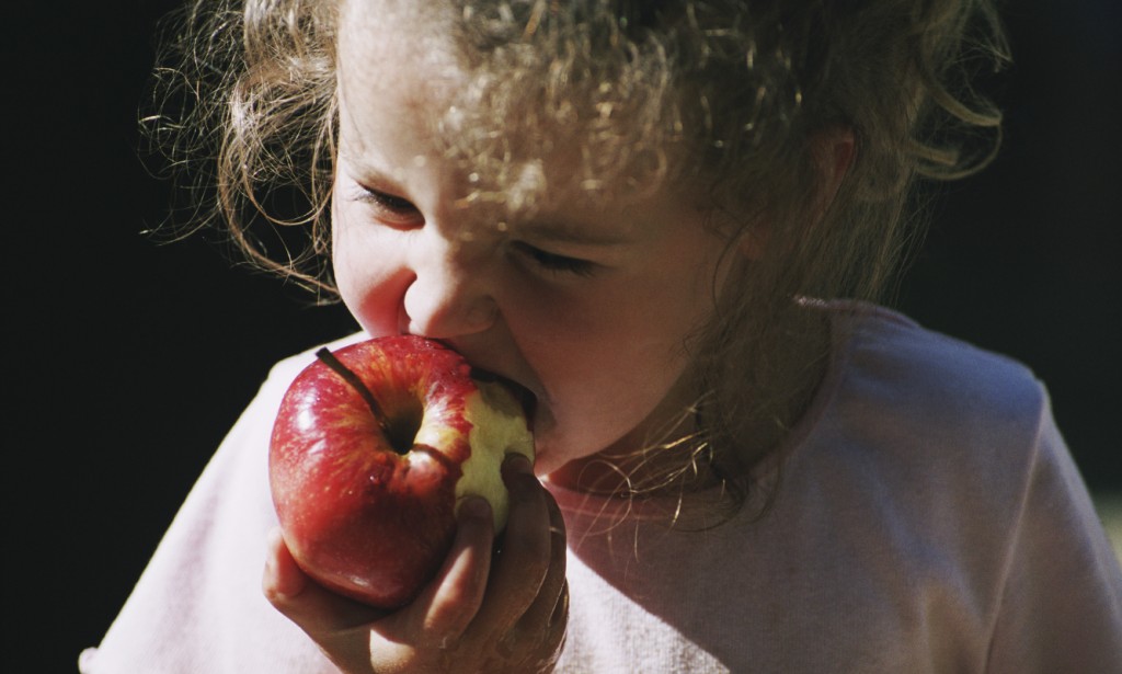  red gala apples buying guide + great price 