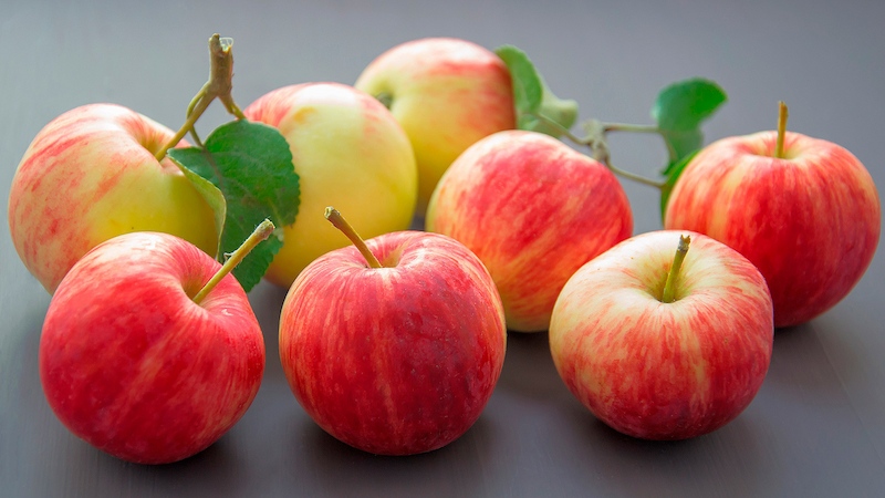  Buy Red Delicious Apple Fruit + best price 