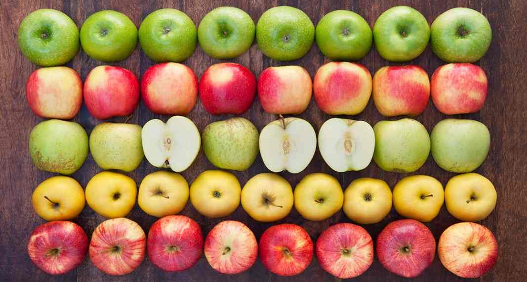  apple nutrition varieties purchase price + quality test 