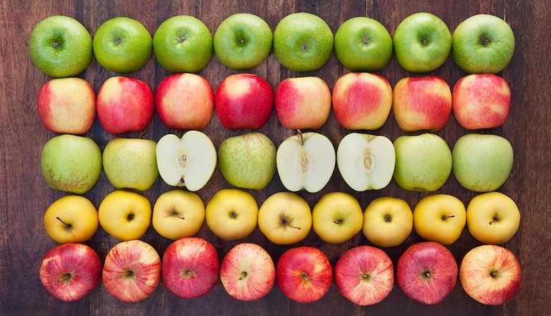  Buy Walmart red apple + introduce the production and distribution factory 