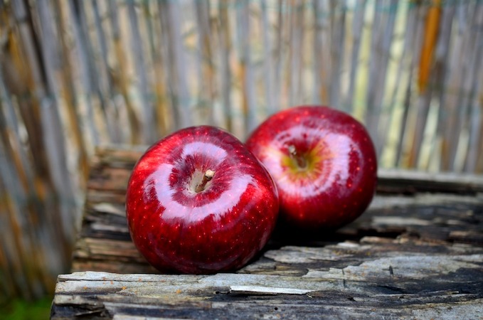  Buy Walmart red apple + introduce the production and distribution factory 
