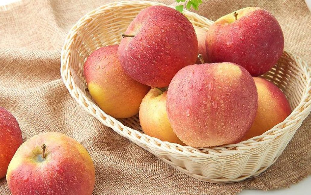  Getting to Know Fuji Apple + the Exceptional Price of Buying Fuji Apple 