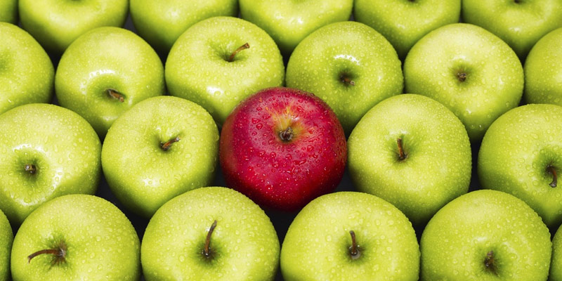  Different Types of Apple in Various Shapes and Colors 