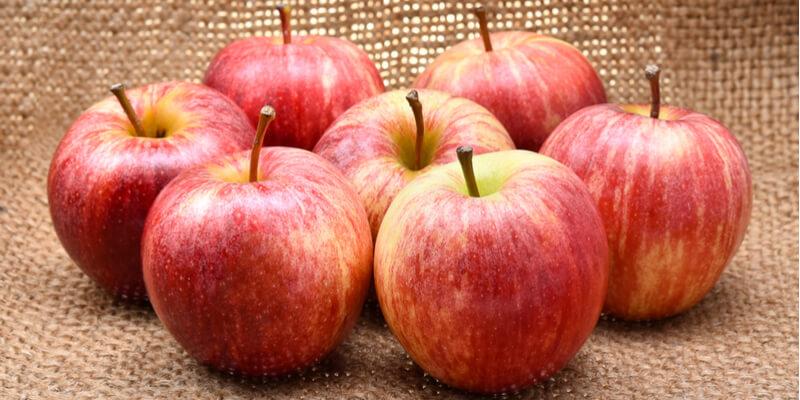  Different Types of Apple in Various Shapes and Colors 