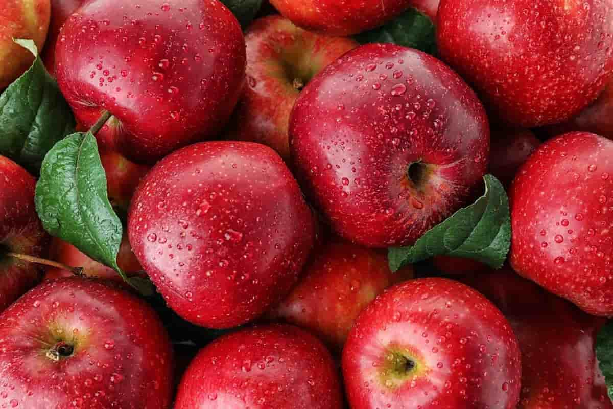  delicious red apples 2023 price list 