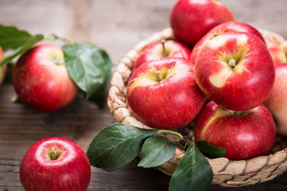  delicious red apples 2023 price list 