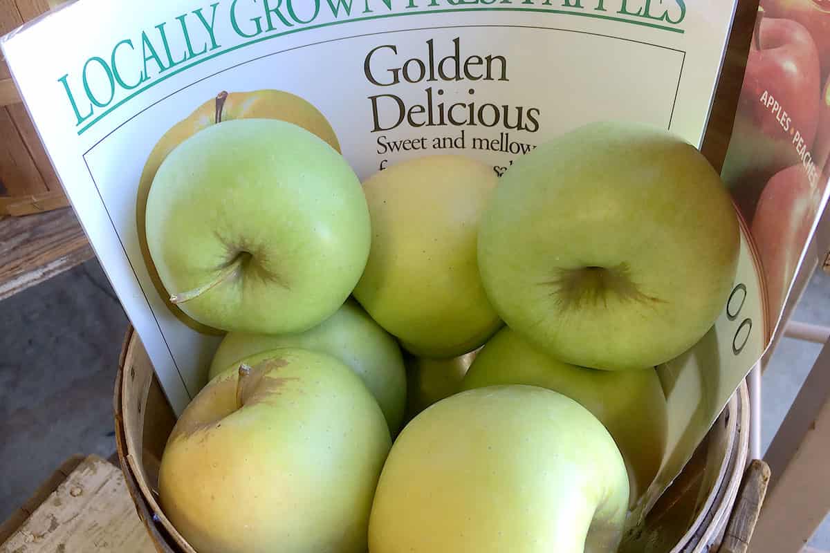  Price of Golden Apples Buying Guide + Great Price 