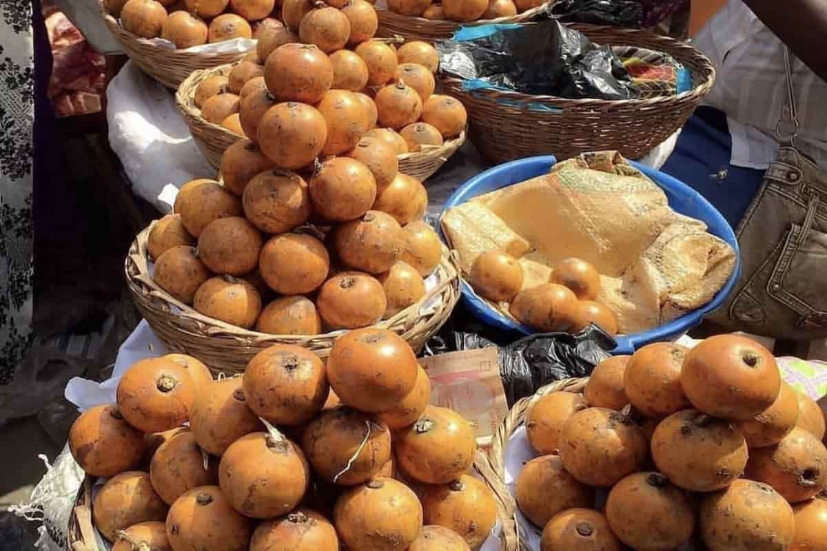  African Apple Fruit; Round Oval Shaped 4 Colors Green Purple White Yellow Glossy Skin 
