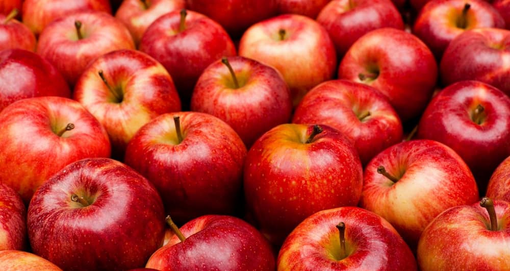  Introducing royal gala apple + the best purchase price 