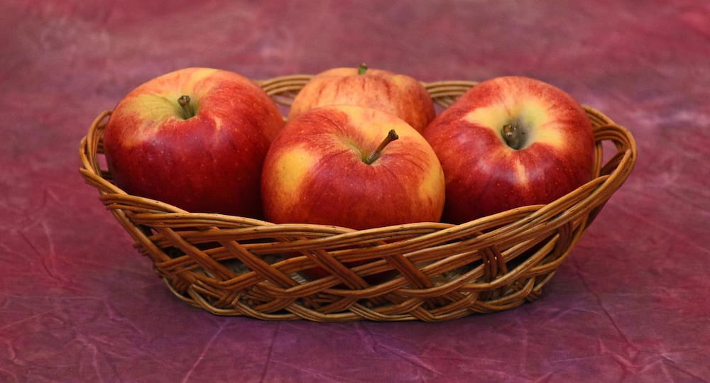  Introducing royal gala apple + the best purchase price 
