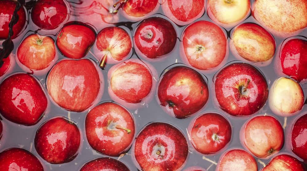  Introducing royal gala apple + the best purchase price 